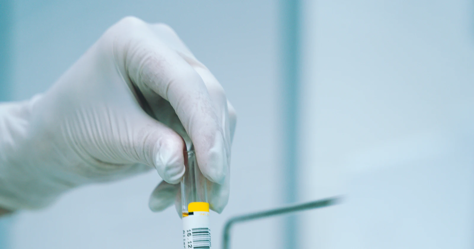 A gloved hand holding a laboratory test tube.